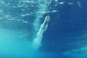 Fishing Lure Skirting – Rubber, Flash, Vinyl Fishing Lure Skirting – Maximum Bubble Trail - With the Right Skirting Materials